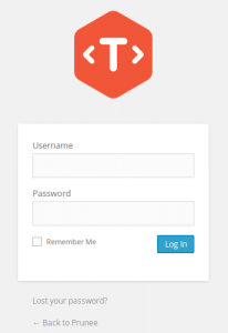 Custom WP Login